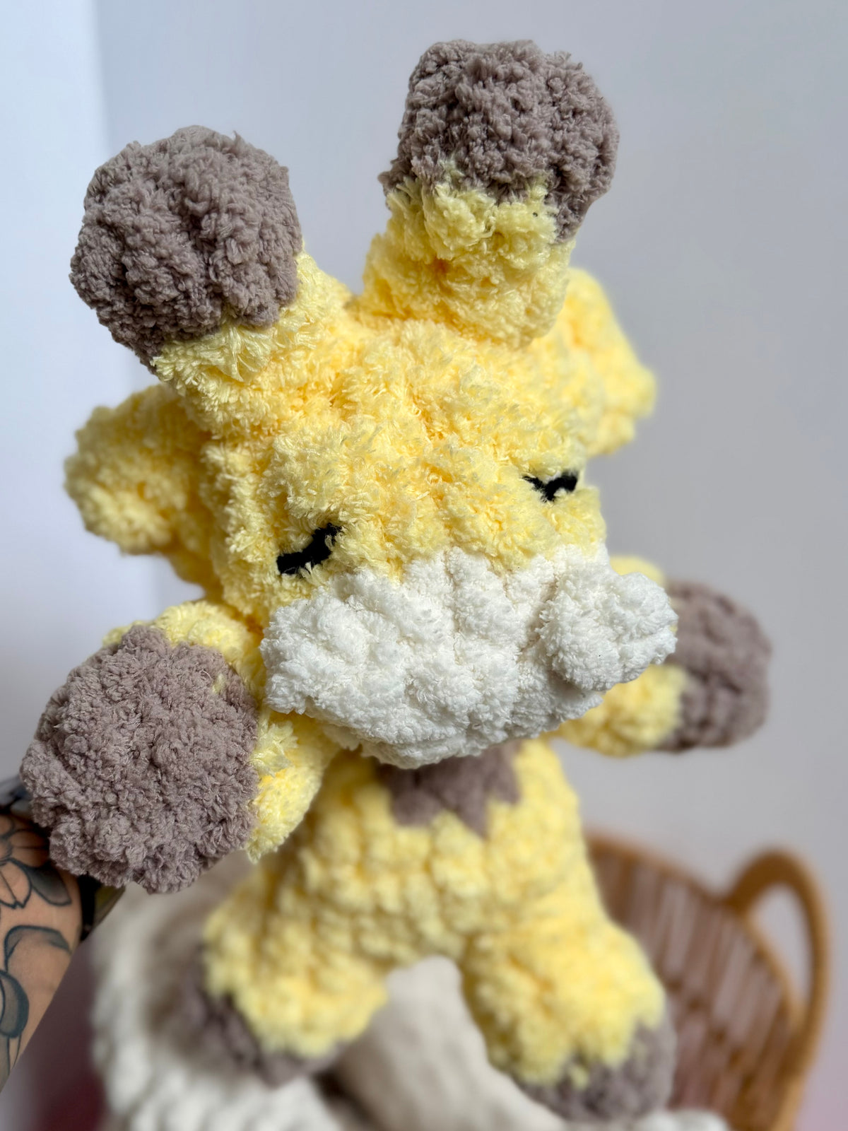 Baby giraffe